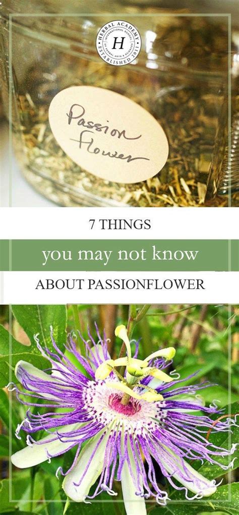 passionflower herbal actions